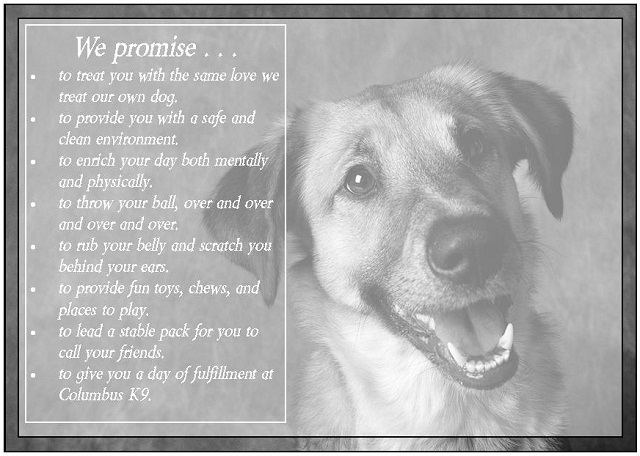 Doggie Daycare Pledge